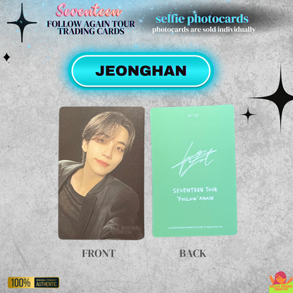 SEVENTEEN Follow Again Tour SELFIE Trading Cards